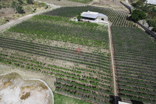 Terrenos En Venta En Jocotepec, Jal