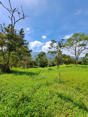 Finca La Azulita
