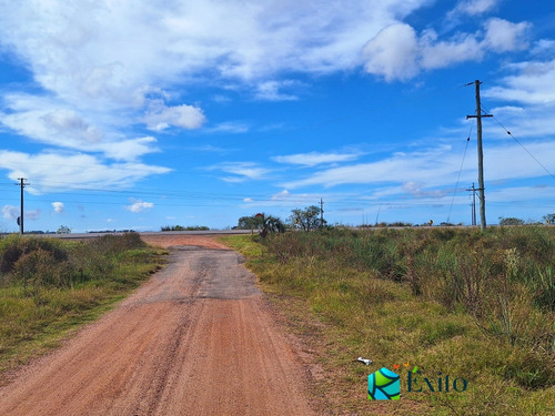 Vendo Campo De 5has Esquinero, Sobre Ruta 19 A 20km Del Chuy, Paraje Isla Negra A 7 Km De 18 De Julio