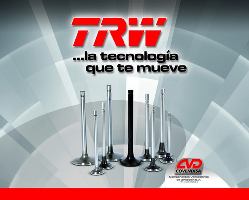 Valvulas Admision Renault Megane Ii 2.0l 16v 2004-2008