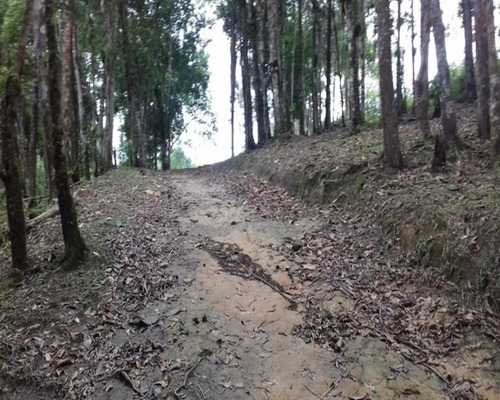 Imagem 1 de 7 de Terreno Pronto Para Formar A Chácara Dos Seus Sonhos. Estuda Contra Proposta! - 221 - 32982733