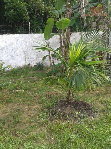 Imagem 27 de 29 de Chácara Com 2 Dormitórios À Venda, 880 M² Por R$ 250.000,00 - Jardim Somar - Peruíbe/sp - Ch0148