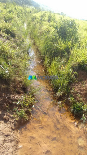 Imagem 4 de 11 de Fazenda - Zona Rural - Ref: 4288 - V-mta4288