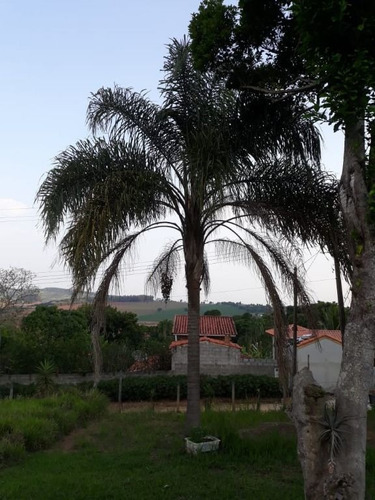 Imagem 5 de 30 de Chácara Em Caminho Das Águas, Tuiuti/sp De 3000m² 3 Quartos À Venda Por R$ 490.000,00 - Ch1175010-s