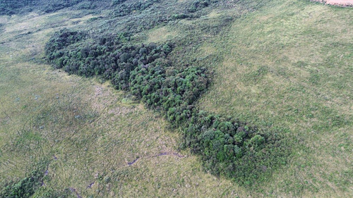 Oportunidade! 2 Hectares A Partir De R$ 99.000,00