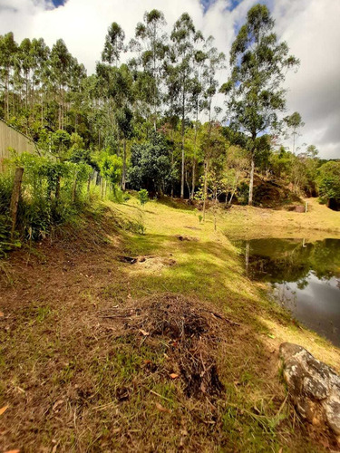 Imagem 6 de 18 de Fazenda Em Condomínio Paraíso, São Luiz Do Paraitinga/sp De 36m² 3 Quartos À Venda Por R$ 350.000,00 - Fa1527034-s