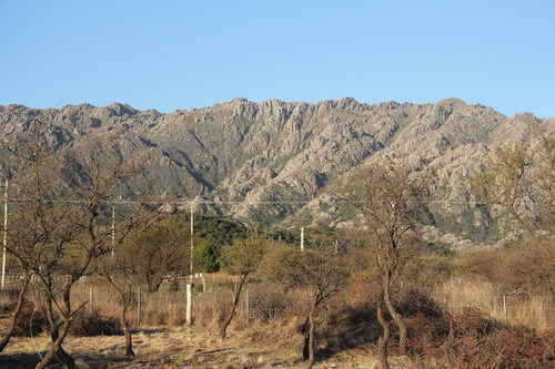 Imagen 14 de 14 de Terreno En Venta En Cortaderas A Metros De Ruta Uno Mts 1206