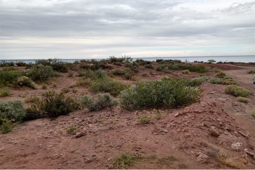 Imagen 20 de 26 de Terreno En Venta En La Península Lago Mari Menuco
