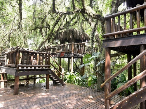 Imagem 19 de 30 de Reserva Ecoville - Sap196 - 34174169