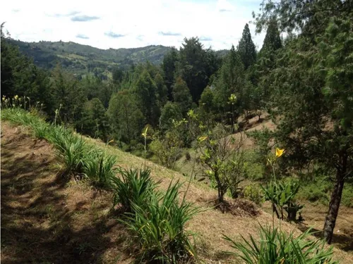 Lote En Venta En Envigado