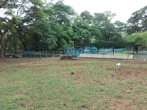Granja Avicola Ganadera Minera Tinaquillo, Negociable