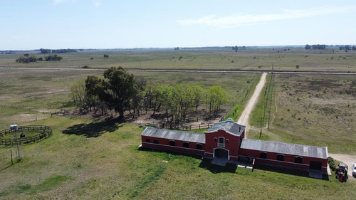 Imagen 3 de 19 de Campo - Coronel Brandsen