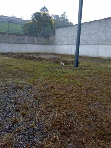 Imagem 5 de 6 de Lindo Galpão Na Vila São Paulo - Venda E Locação - Biga00002