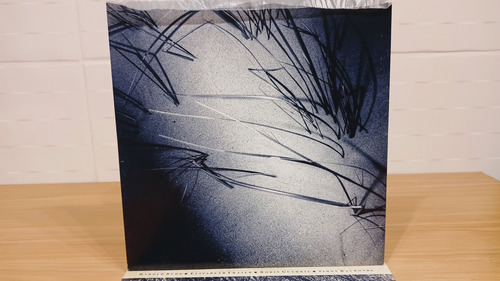 Harold Budd, Elizabeth Fraser E Mais The Moon The Melodies (Usado)