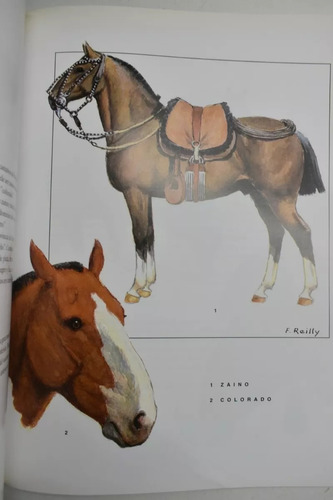 Assuncao: El Caballo Criollo