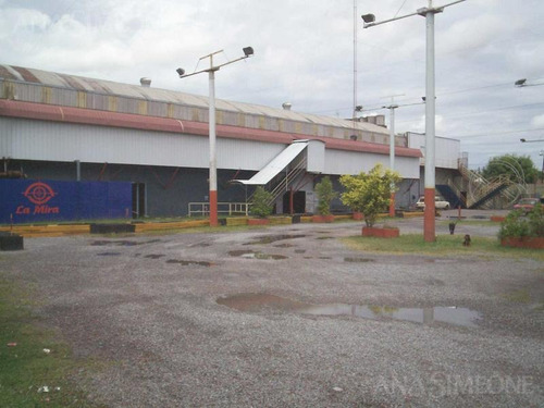 Imagen 6 de 8 de Importante Propiedad Sobre Av. Apta Variados Rubros