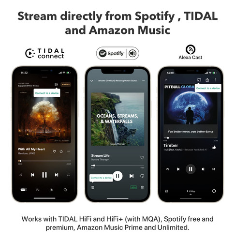 Transmisor De Audio Inalámbrico Wiim Mini Airplay 2 Con Alex