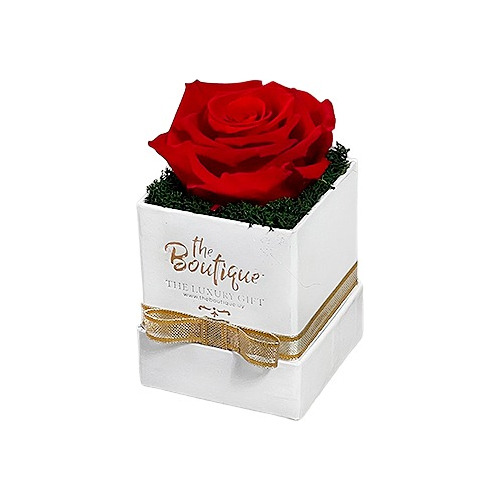 Florería Enamorados San Valentin Caja 1 Rosa Preservada 