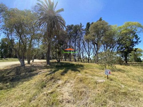 Terreno N 21 En Urbanización