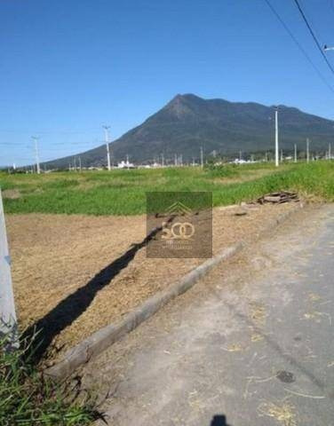 Imagem 3 de 4 de Terreno À Venda, 215 M² Por R$ 114.999,00 - Guarda Do Cubatão - Palhoça/sc - Te0160