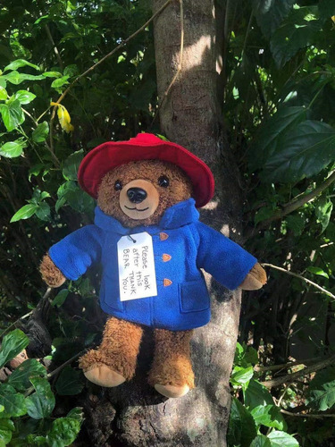 / Mini Oso Paddington De 29 Cm, Muñeco De Peluche Lindo