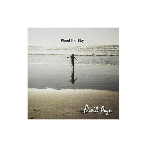 Page David Flood The Sky Usa Import Cd Nuevo