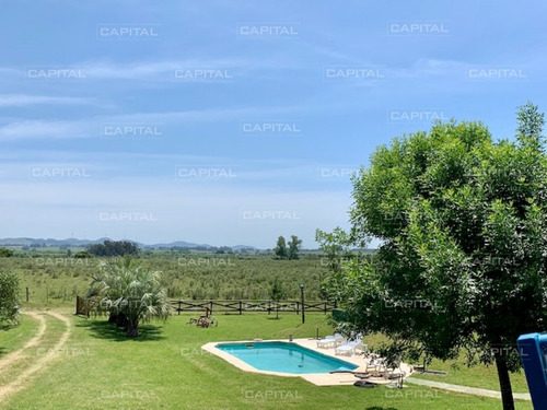 Chacra Con Arroyo De Casi 19 Hectáreas Disponible En Venta- Ref: 28488