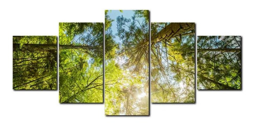 Cuadros Decorativos Grandes Sala Comedor Naturaleza