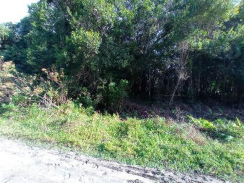 Imagem 3 de 10 de Lotes De Chácara No Bairro São Fernando, Em Itanhaém, Com 2.400 M² De Área Total, Aceita Entrada Mais Parcelas