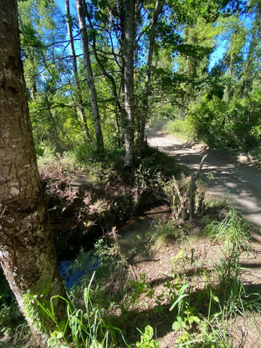 Terreno De 10,974 M² A La Venta Cerca De Pucón
