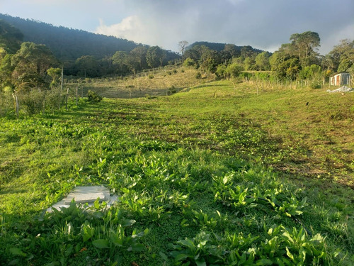 Imagen 14 de 29 de Vendo Finca En Subía Silvania 28.000 M2