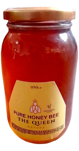 Miel De Abejas Pura X 600g 