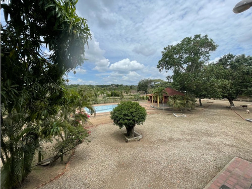 Finca En Venta 6,45 Hectáreas Valles Del Tuy