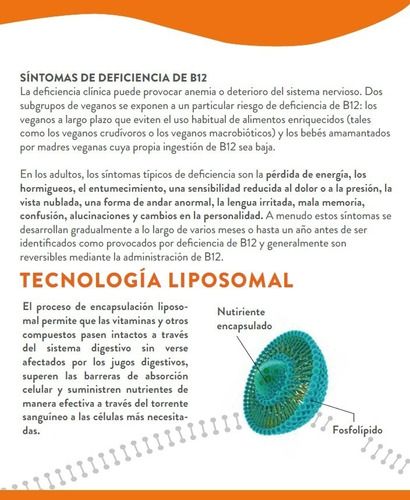 Imagen 4 de 7 de Vitamina B12 Liposomal 60 Caps Previene Anemia Ortomolecular