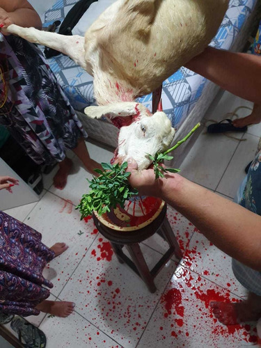 Imagem 4 de 10 de Amarração Amorosa Rápida, E Extremamente Garantida