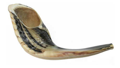 Imagem 8 de 8 de Shofar Chifre De Carneiro De Tocar - 34 A 37 Cm - De Israel