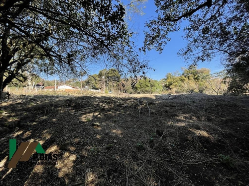 Imagem 5 de 9 de Ótima Oportunidade Para Quem Procura Um Terreno Bem Localizado Em Pinhalzinho, Interior De São Paulo - Te0160
