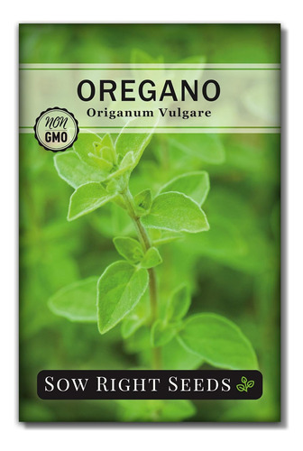 Oregano Seed For Planting - Non-gmo Heirloom- Instructions T