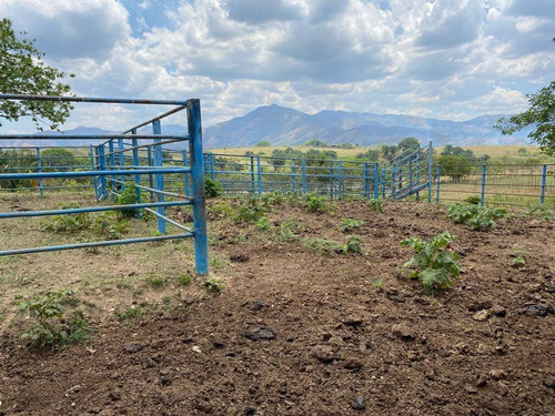 Imagen 10 de 14 de Granja En Venta En Valencia