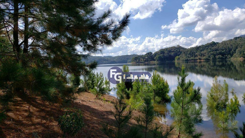 Imagem 15 de 17 de Chácara À Venda, 20000 M² Por R$ 385.200,00 - Capivari - Bocaiúva Do Sul/pr - Ch0043