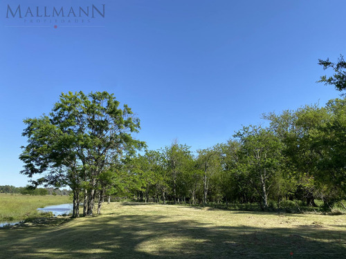 Venta Lote En Estancia Carabassa