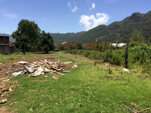 Imagen 2 de 4 de Terreno En Renta En La Col. Explanada Del Carmen