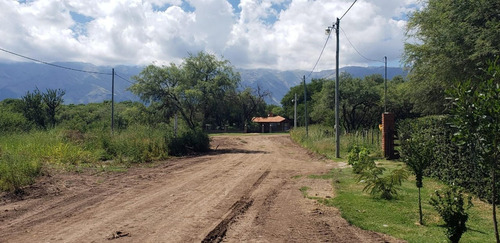 Imagen 9 de 9 de Hermoso Lote En Esquina Con Arboles De Gran Porte!!!!!!
