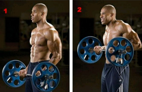Discos Olimpicos Set De 15kg Para Ejercitarse