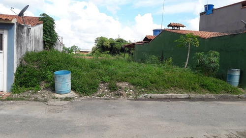 Imagen 3 de 5 de En Venta Hermoso Terreno, El Vigia, Merida