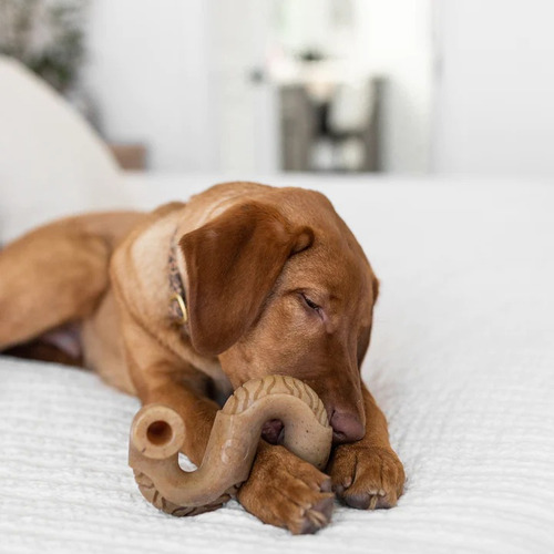 Hueso Masticable Benebone Tripbone Small Juguete Perro