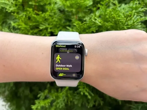 Apple watch top 44mm silver