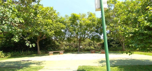 Imagem 7 de 18 de Terreno À Venda, 443 M² Por R$ 235.000,00 - Condomínio Lago Da Serra - Araçoiaba Da Serra/sp - Te1346
