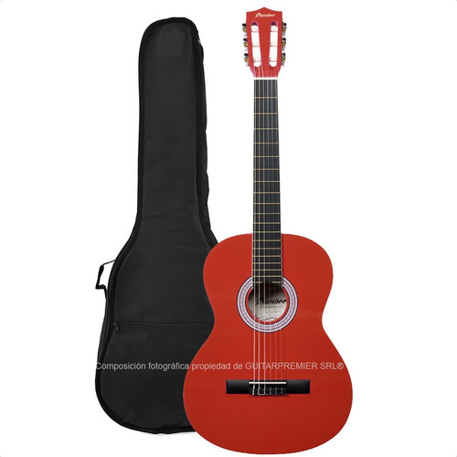 Imagen 2 de 9 de Guitarra Electrocriolla Mediana Bamboo 3/4 + Funda Acolchada