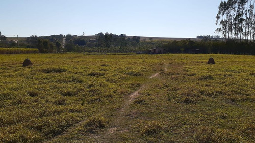 Chácara À Venda, 8000 M² Por R$ 400.000 - Rosário - Elias Fausto/sp - Ch0136